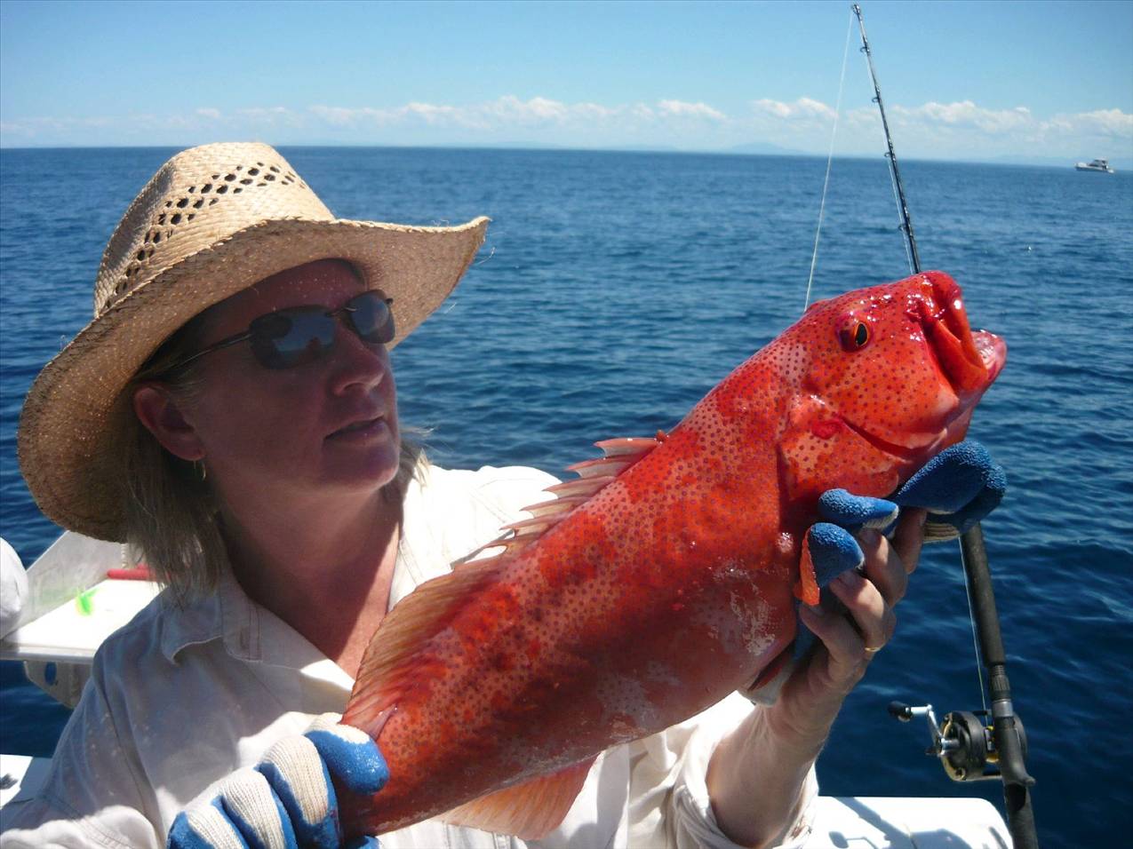 Scruffy outfishes Legaless again at Batt reef