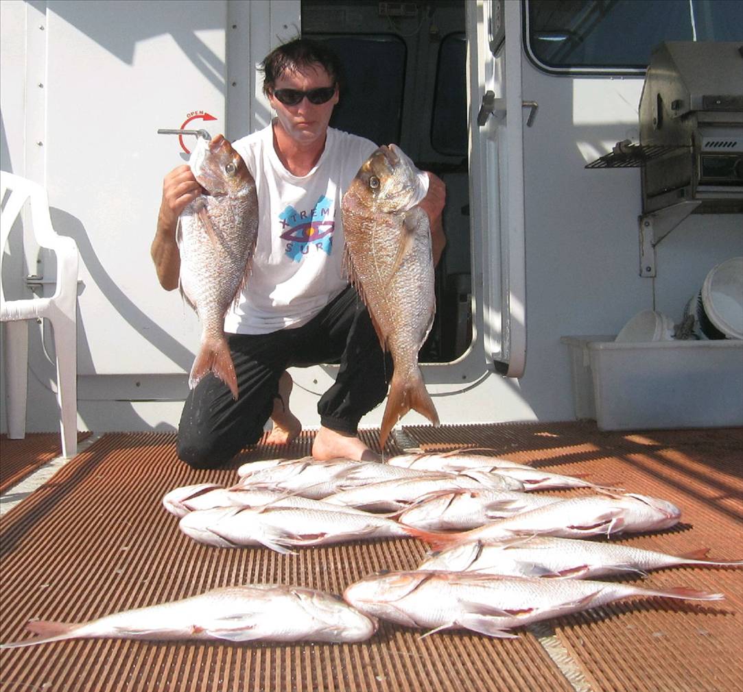 Oct 1 & Nov snapper