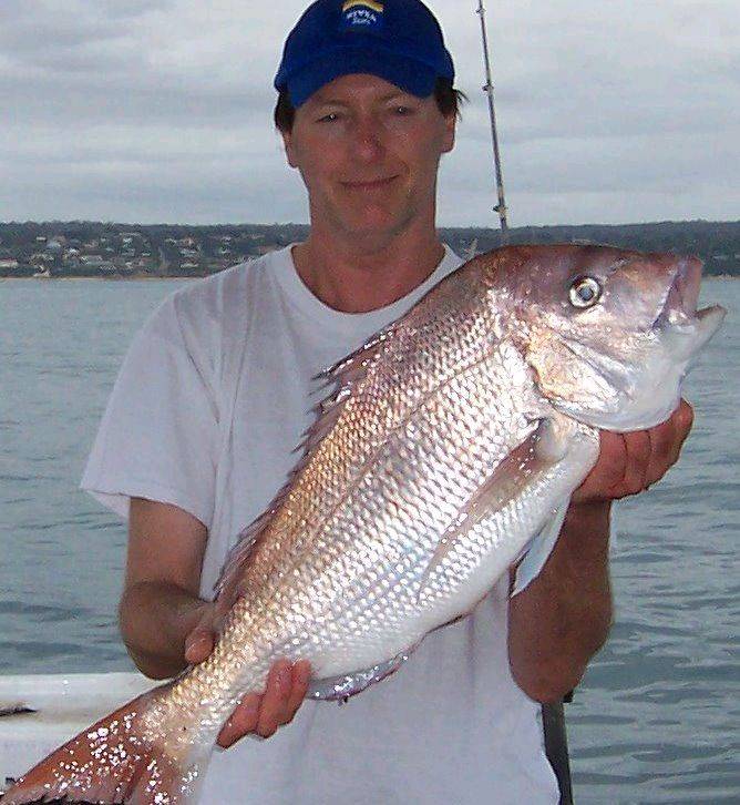6kg October Snapper