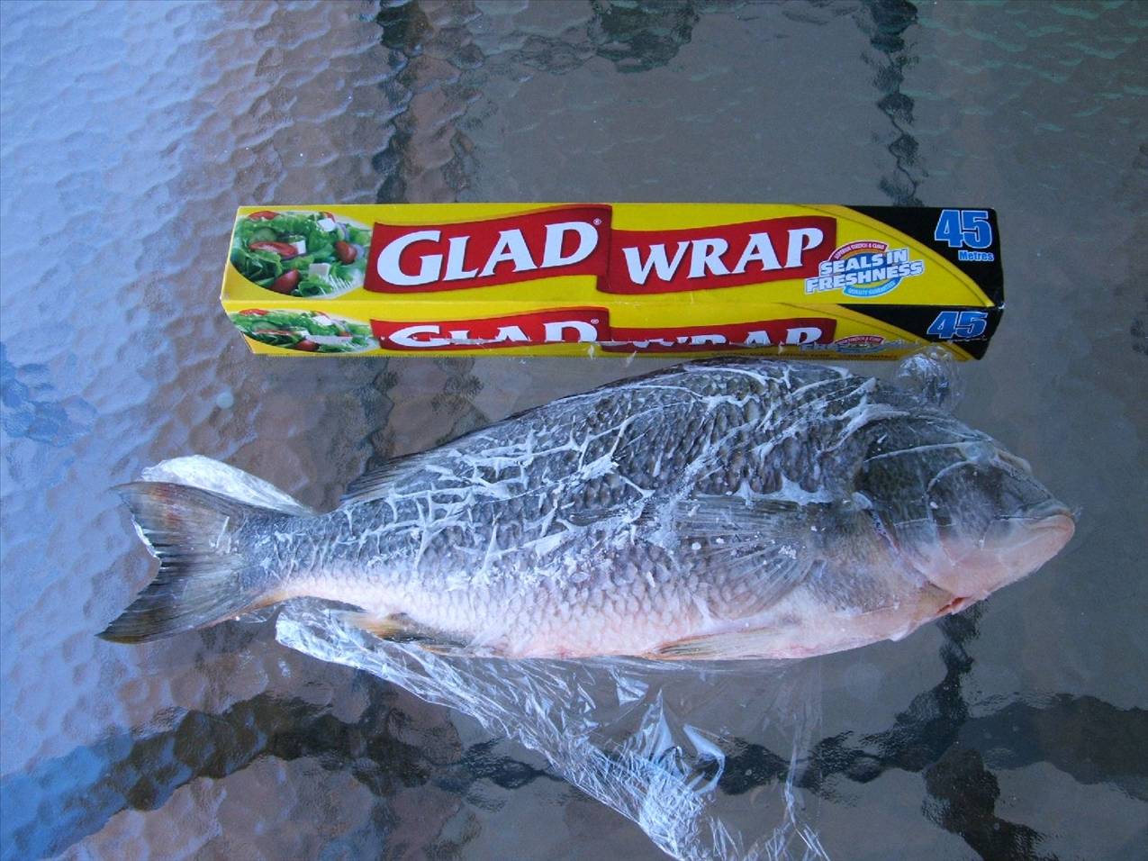 43cm bream