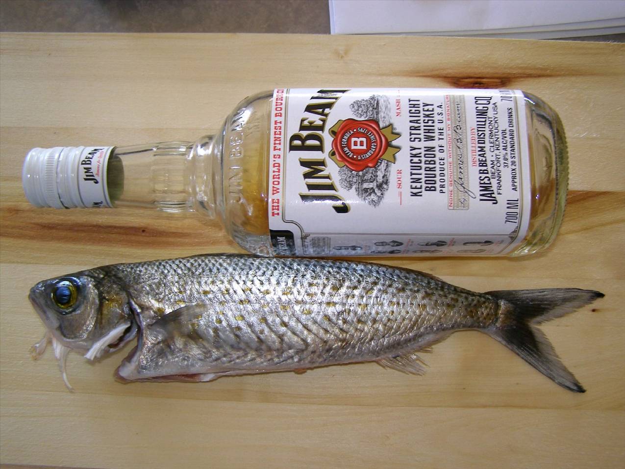nice size herring