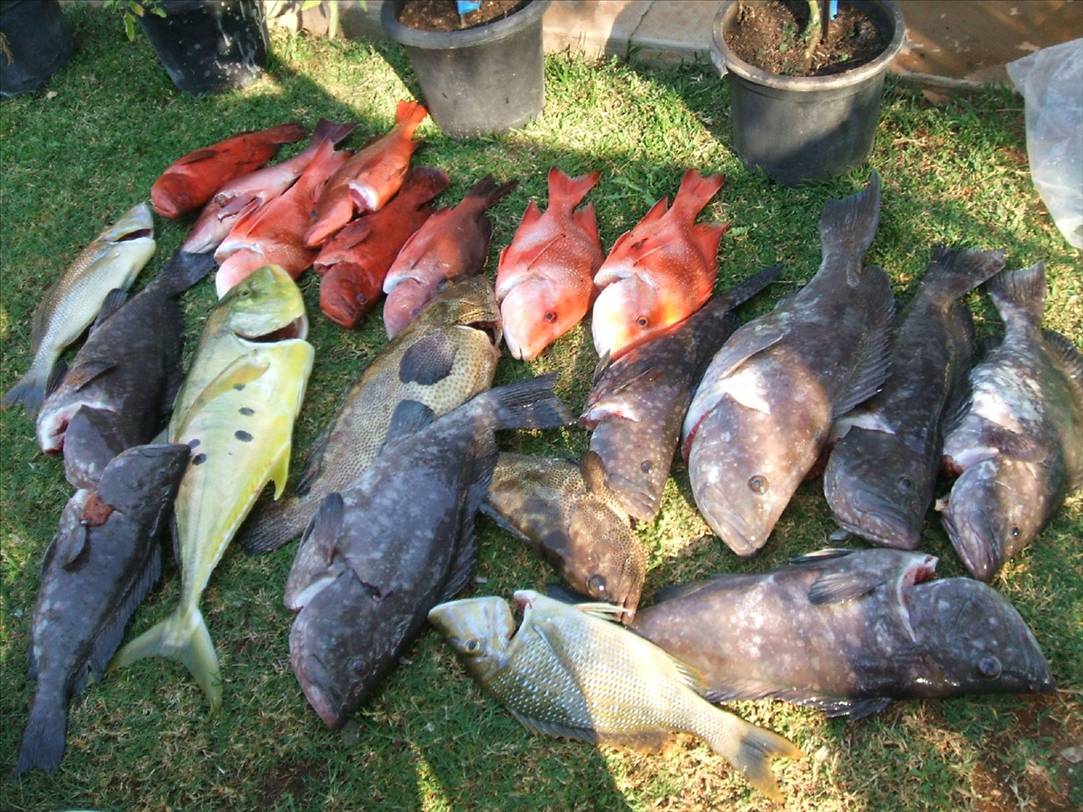 fishing 013