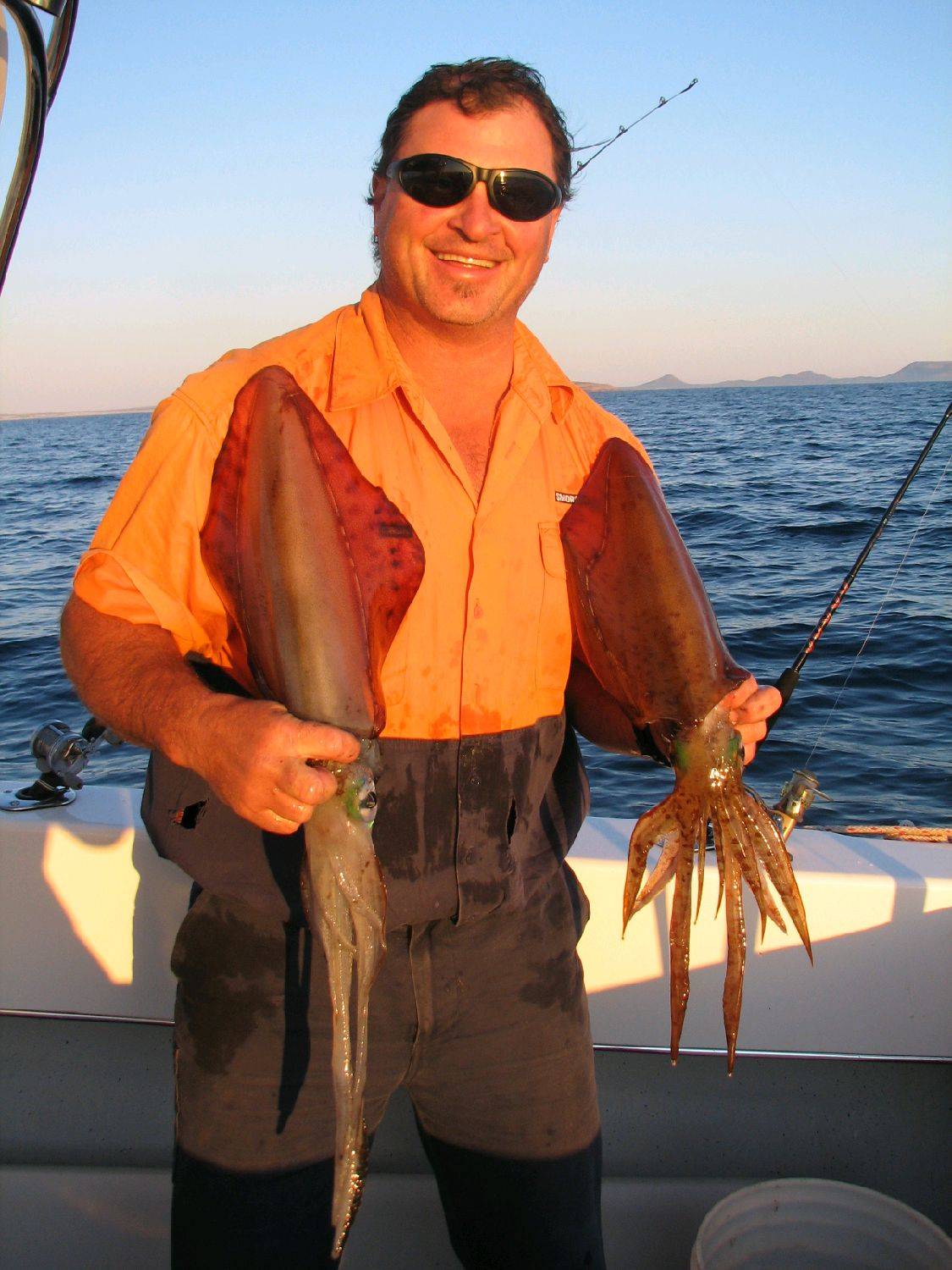 esperance squid