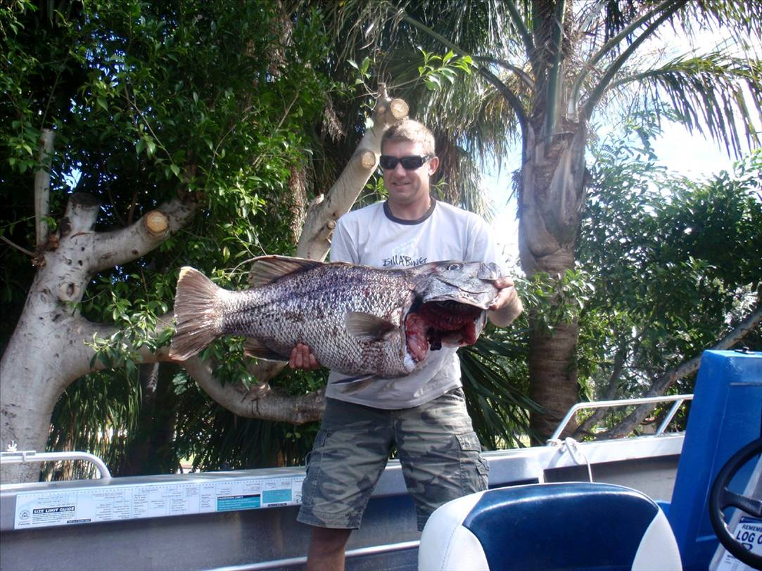 14 kg dhu