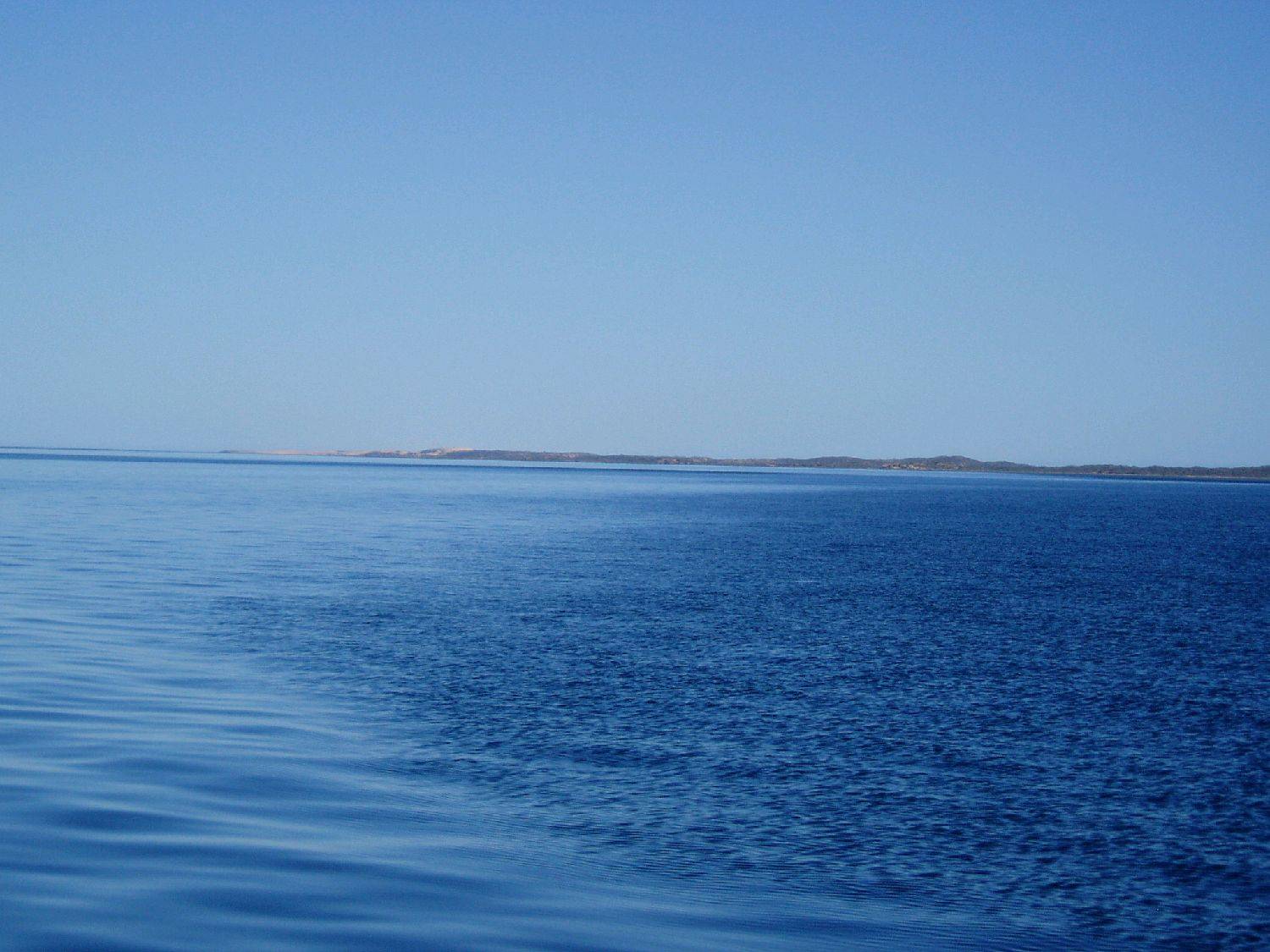 P1010554
