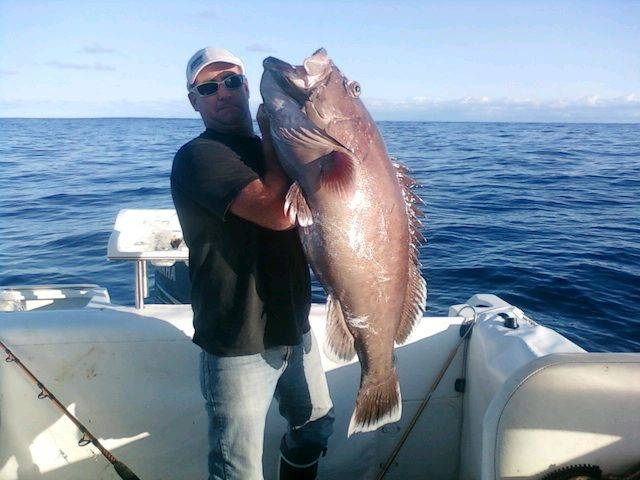 grey band 28.5kg