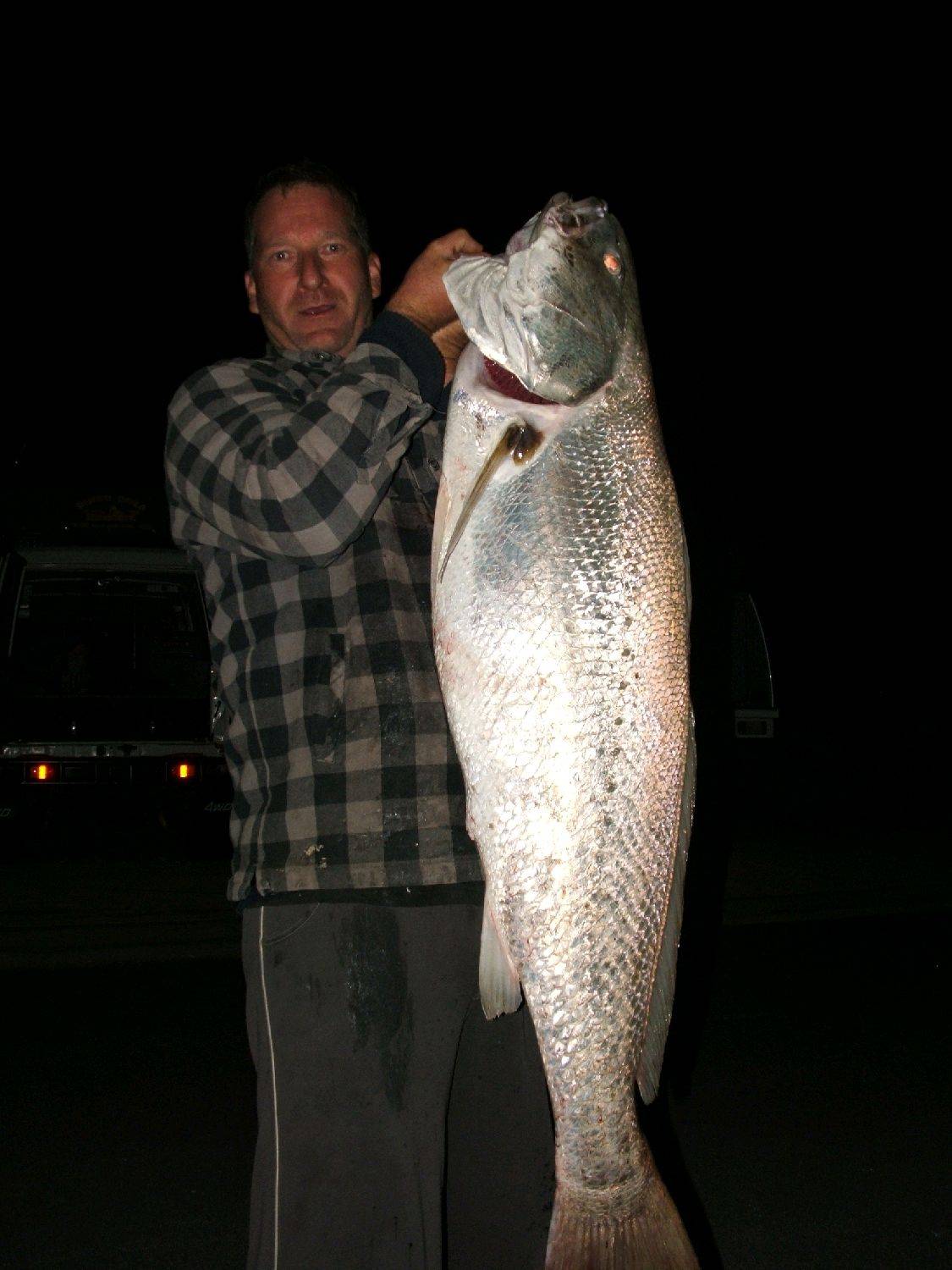 Mark's Mully 22kg