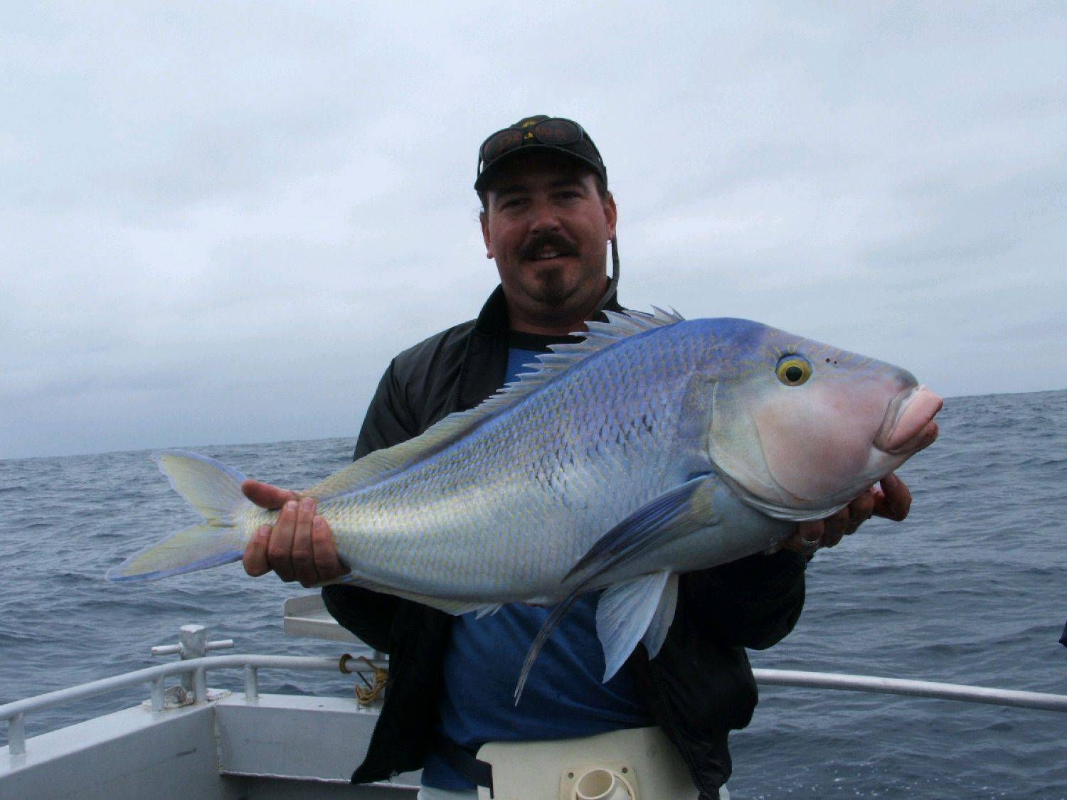 7kg Queen snapper