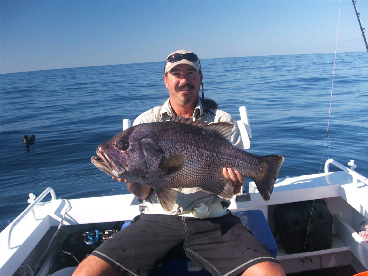 9.5kg Dhu fish 001