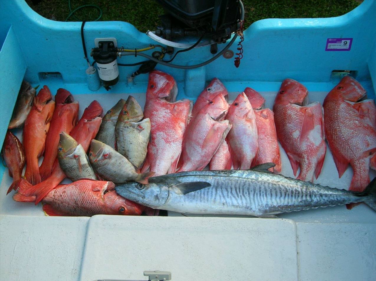 Mixed bag