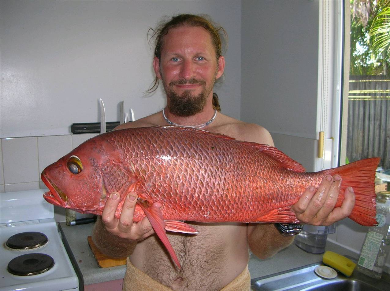 6.7kg Jack
