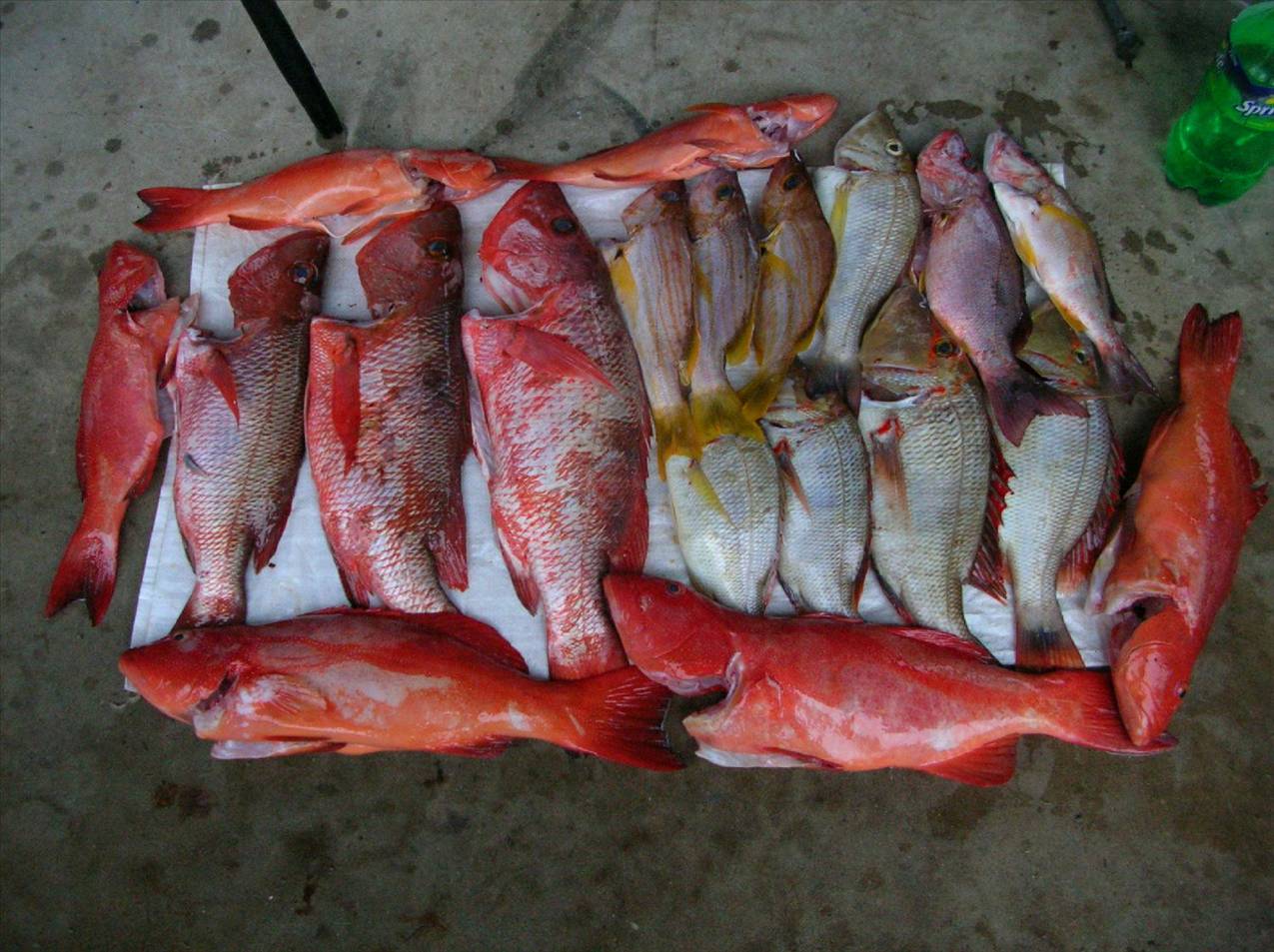 Mixed bag