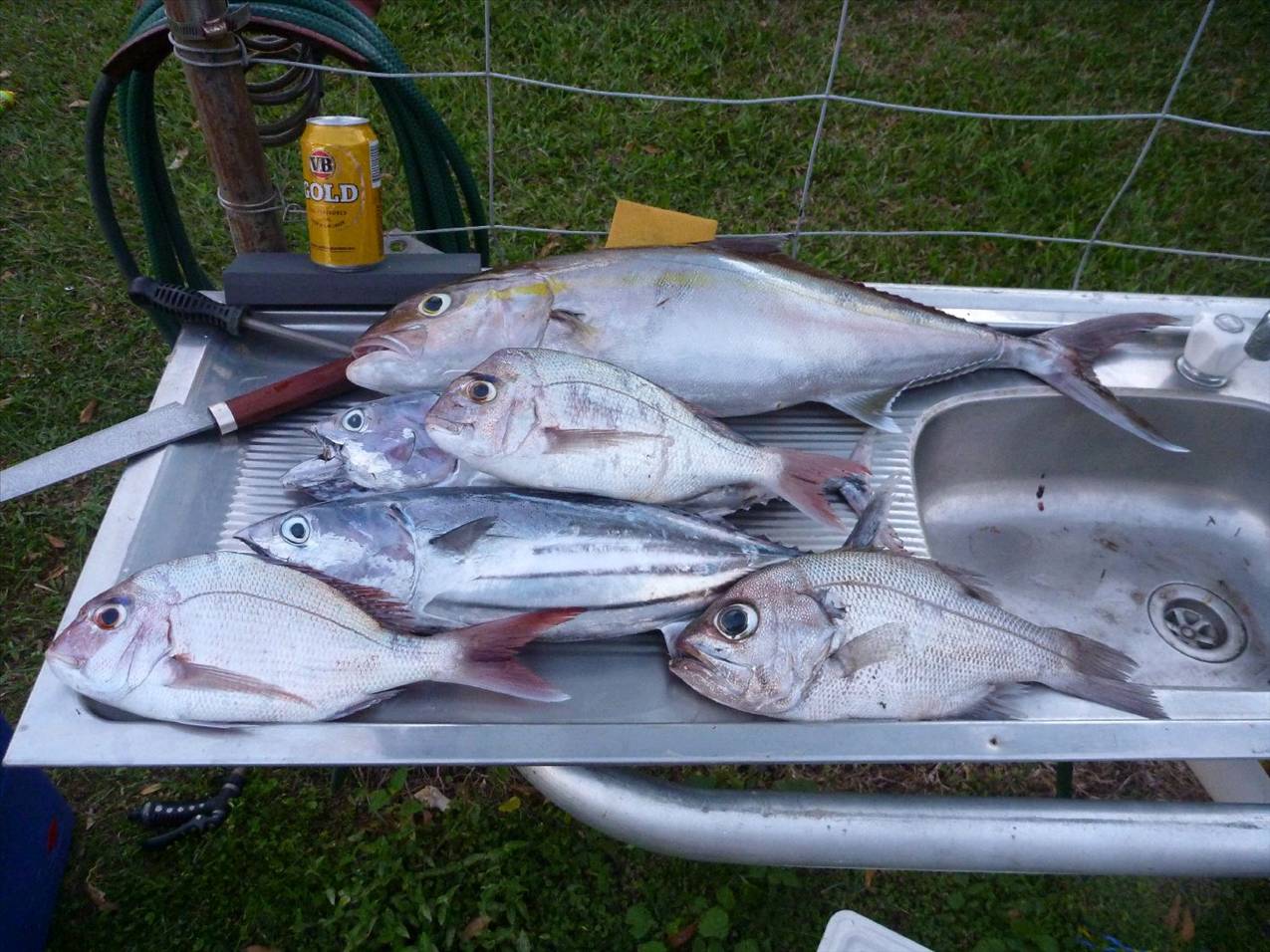 TOMKATTOO fishing