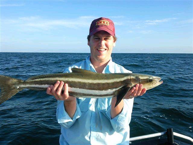Cobia 2 s