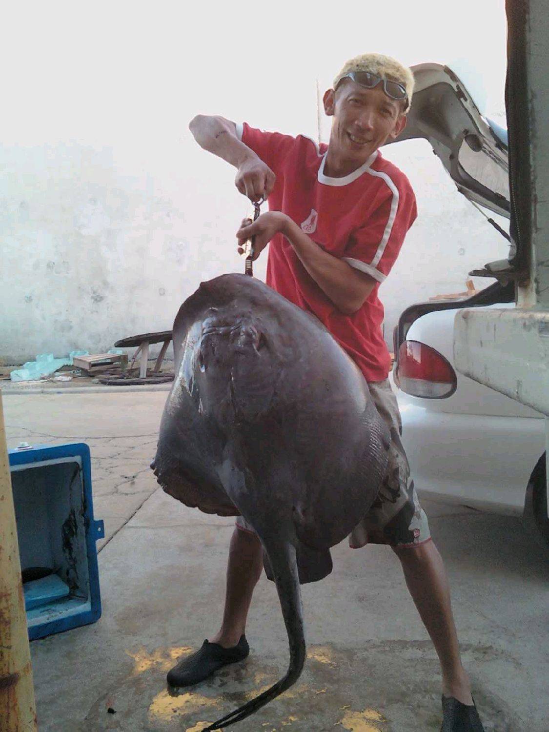 20KG OF RAW....POWER!!!