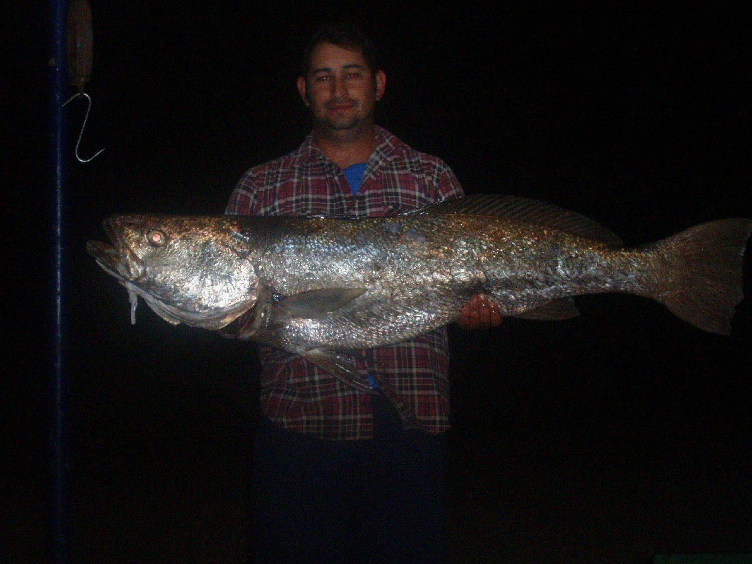 A nice mulloway a got a few years back