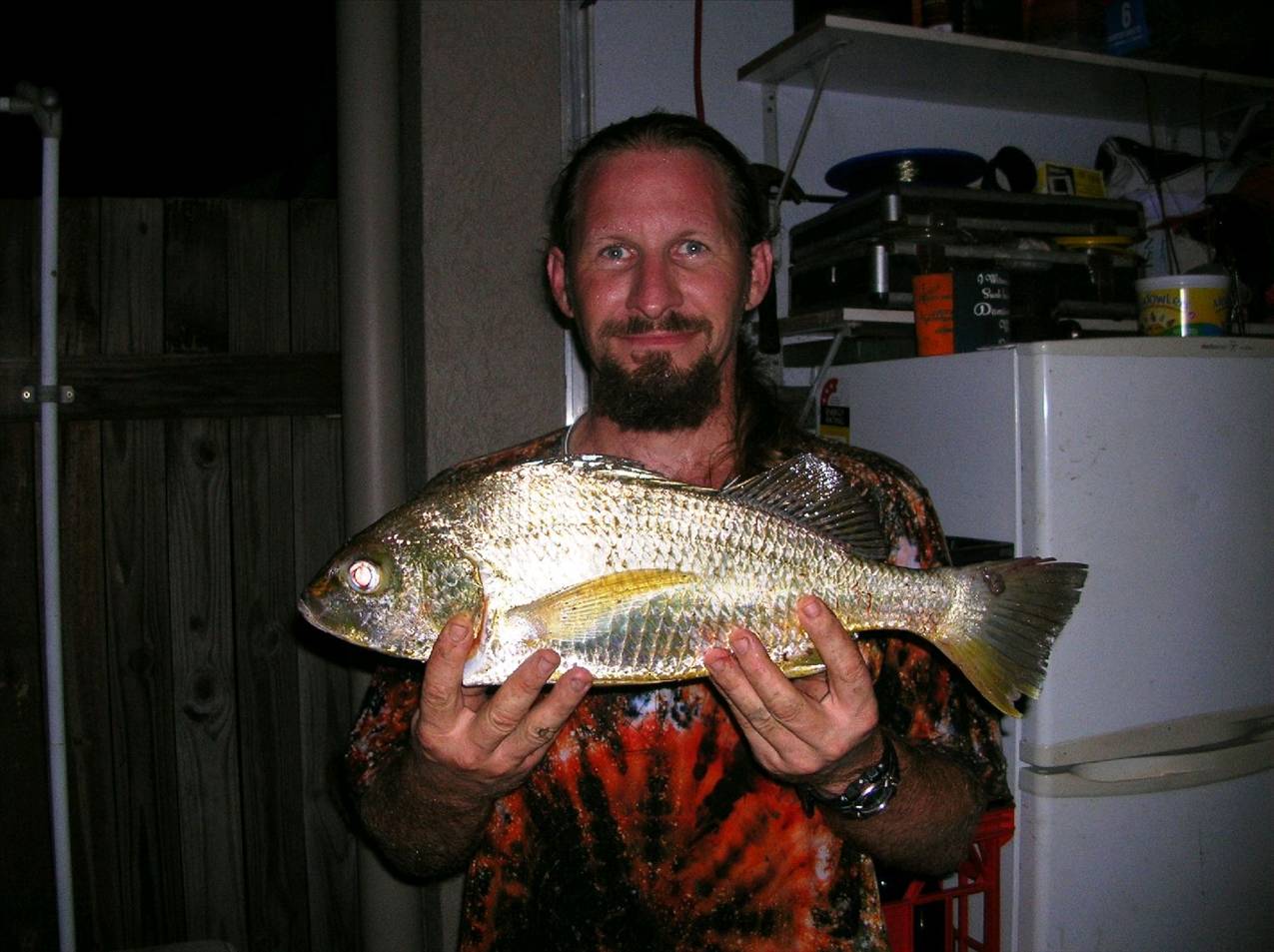 51cm Grunter