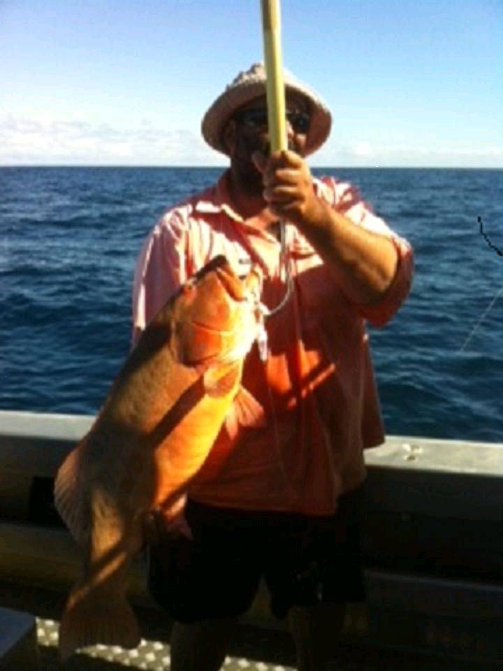 nice coral tout