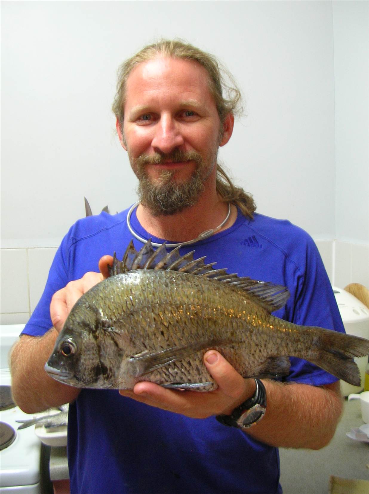 Bream on!