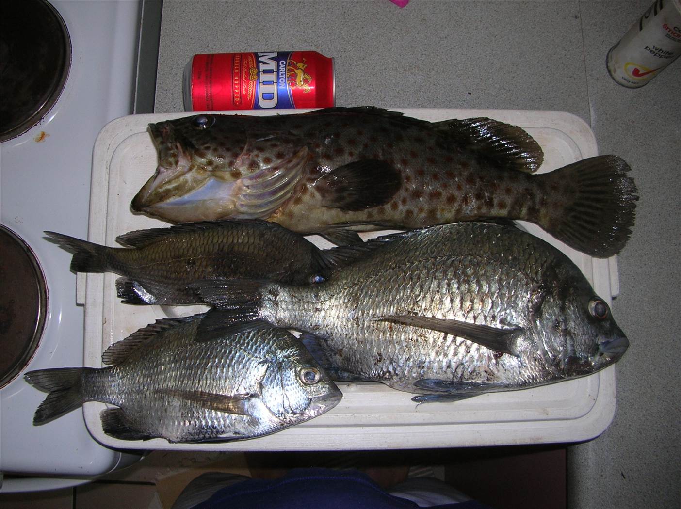 Bream on!