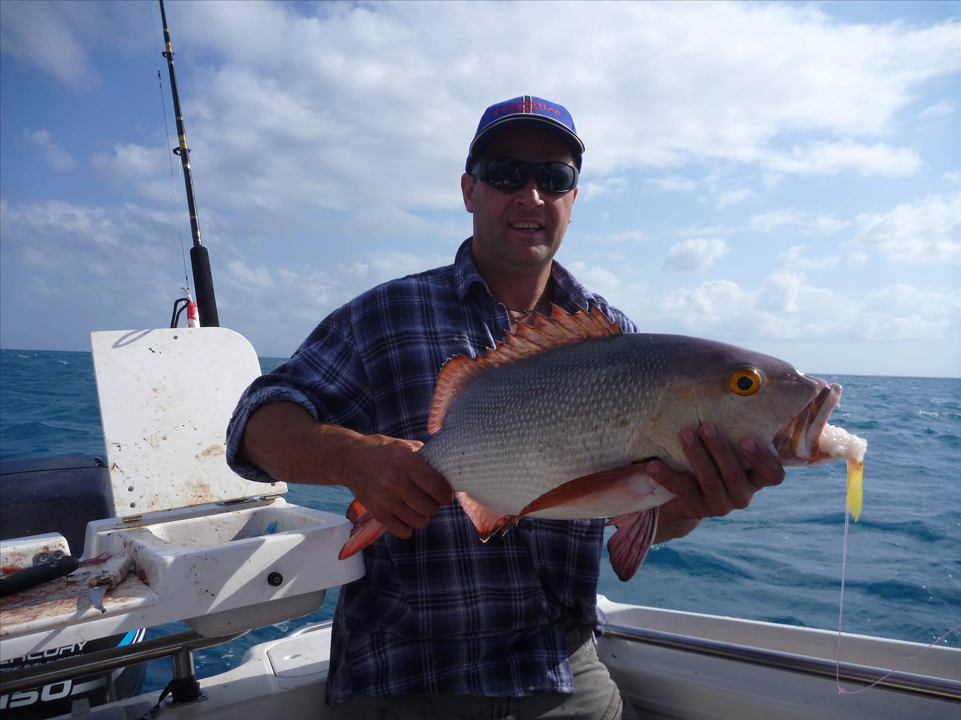 aussie bass