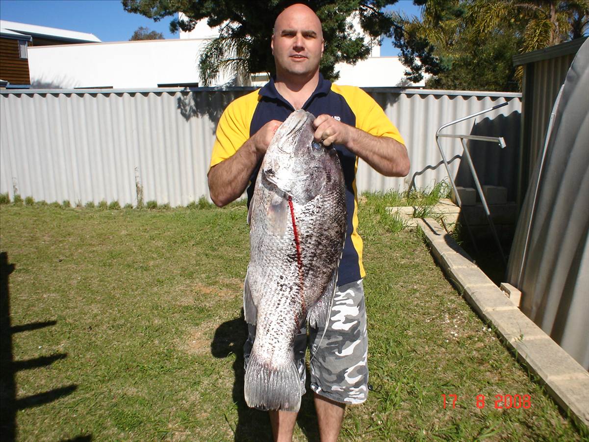 blackpearlin