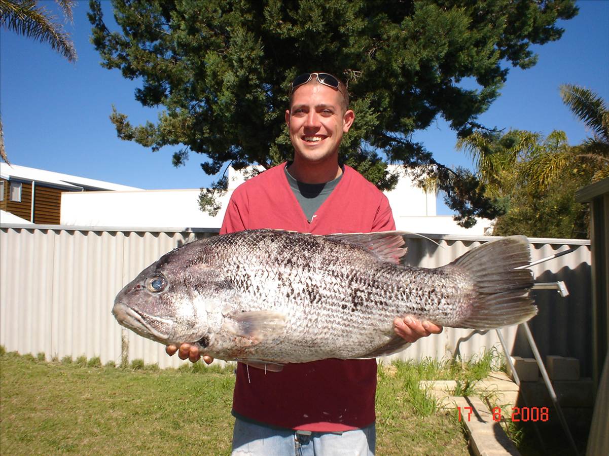 blackpearlin
