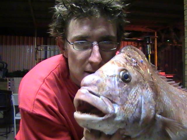 COCKBURN SNAPPER