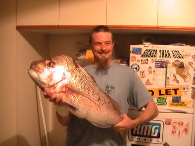 NEVILS SNAPPER  COCKBURN