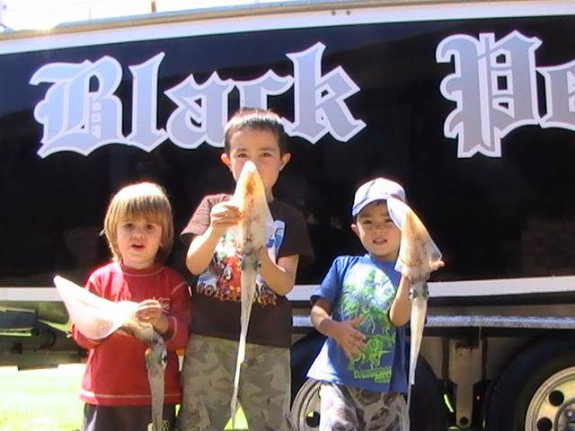 THE BOYS & SQUID