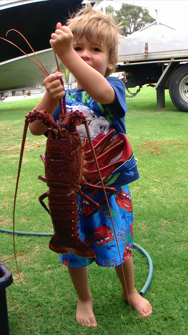 monster jumbo