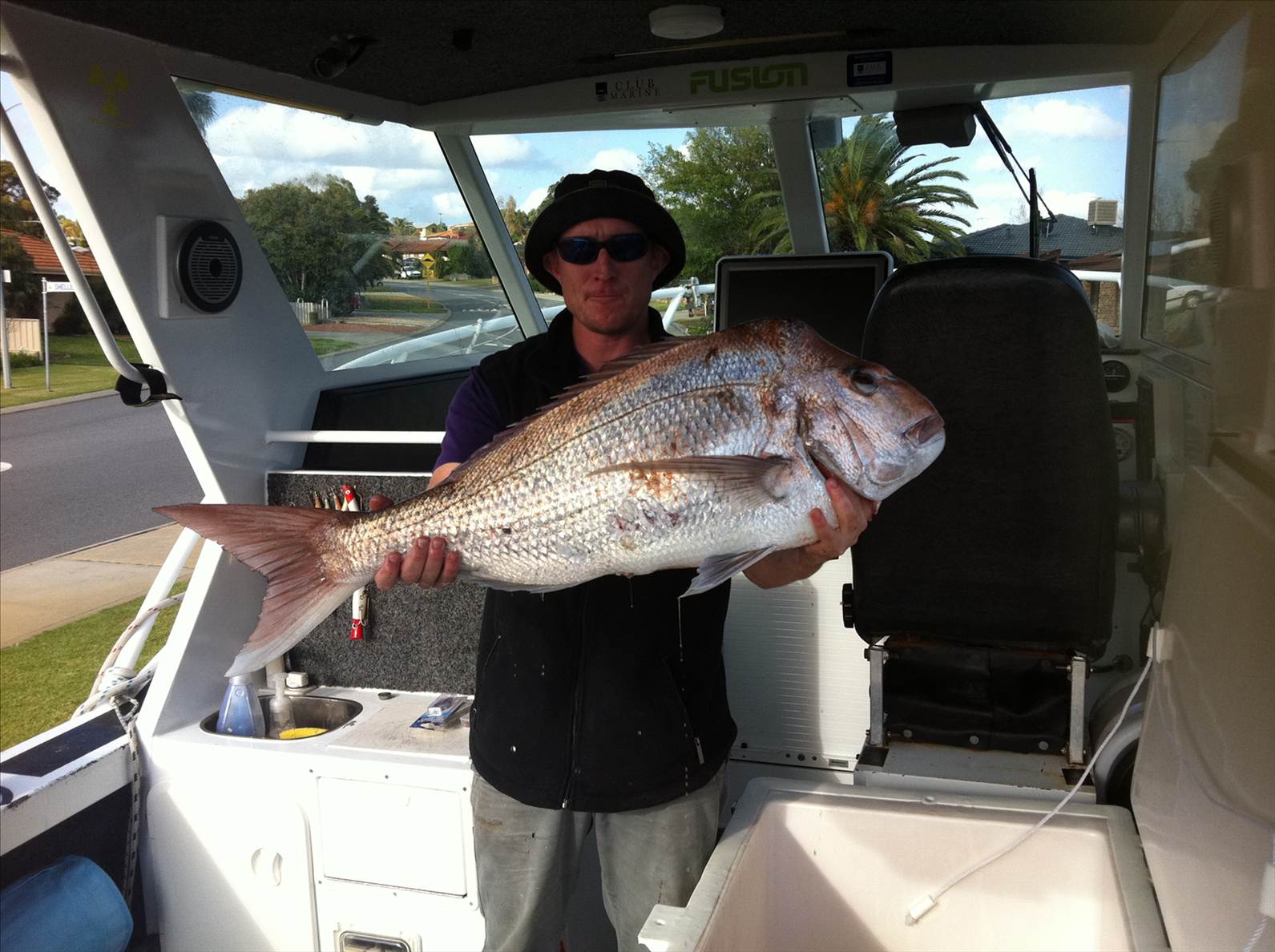 snapper