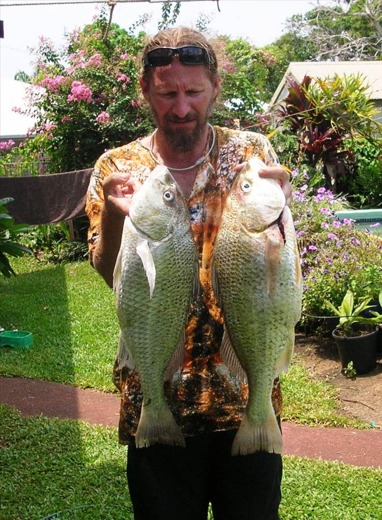 Boxing day grunter
