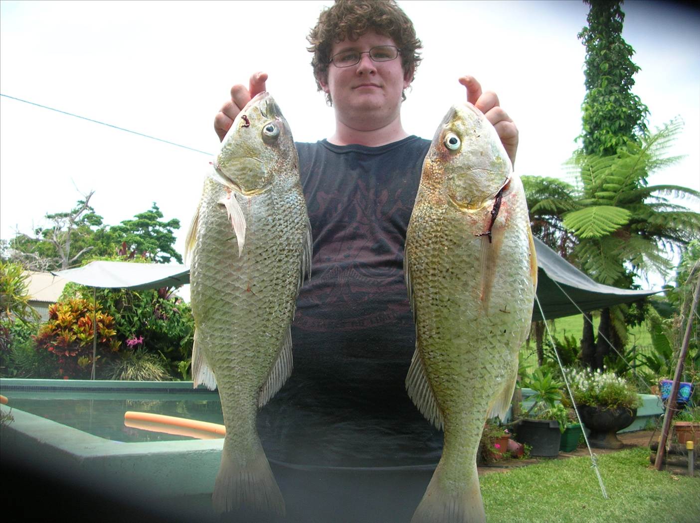 Boxing day grunter