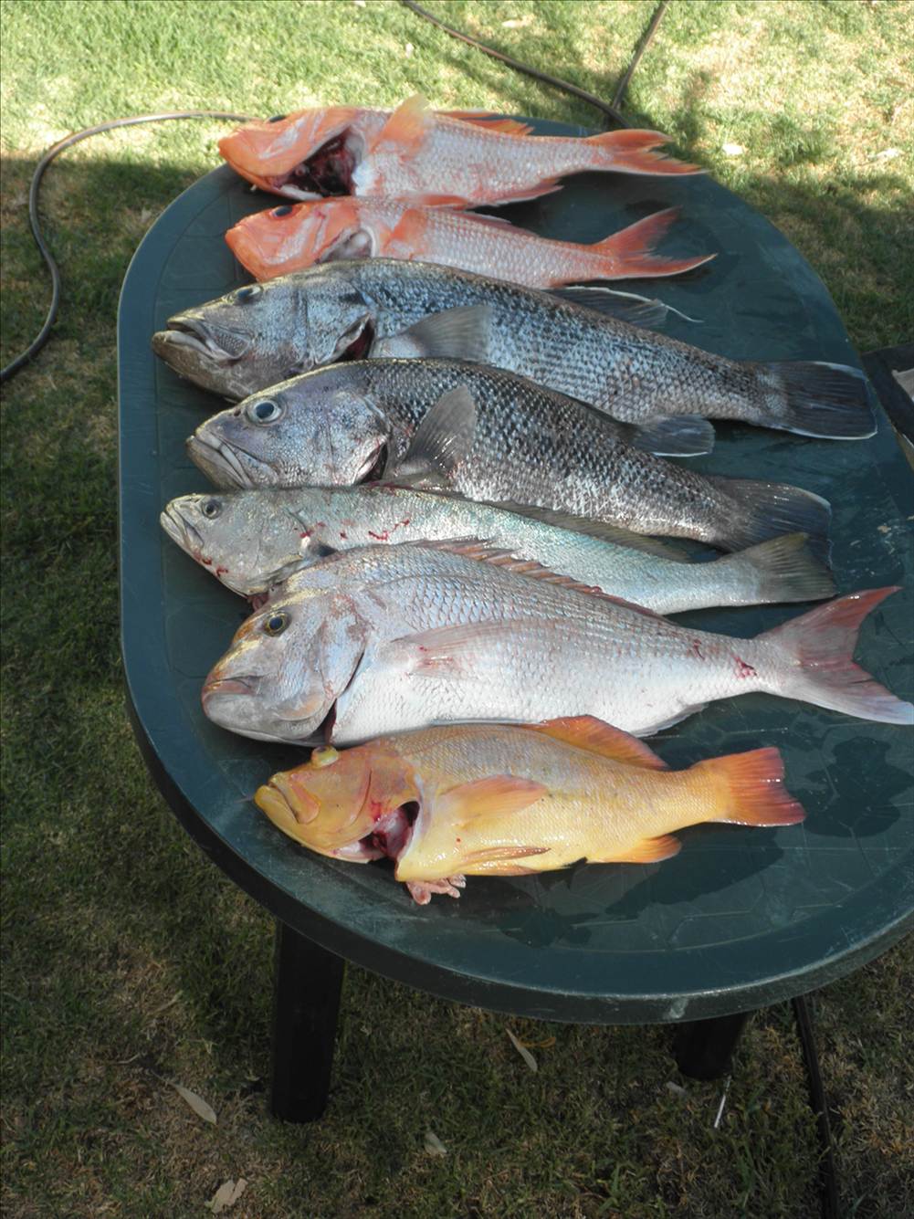 not a bad day