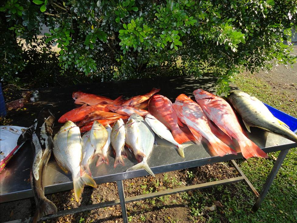 days fishing