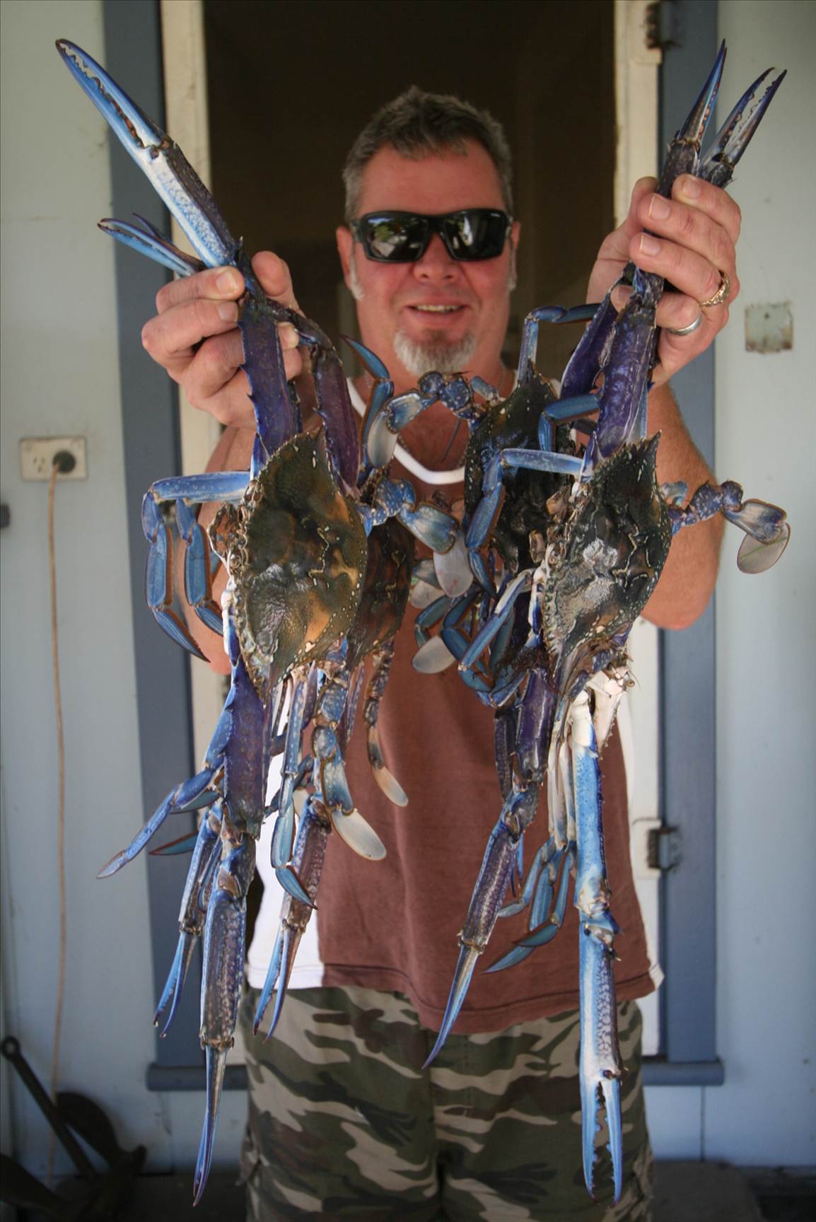 nice blueys