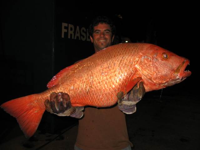Barrow Jack