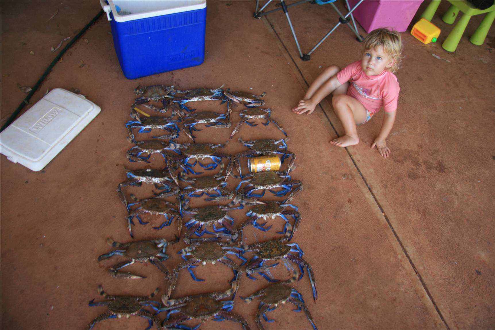 Abbeys first haul
