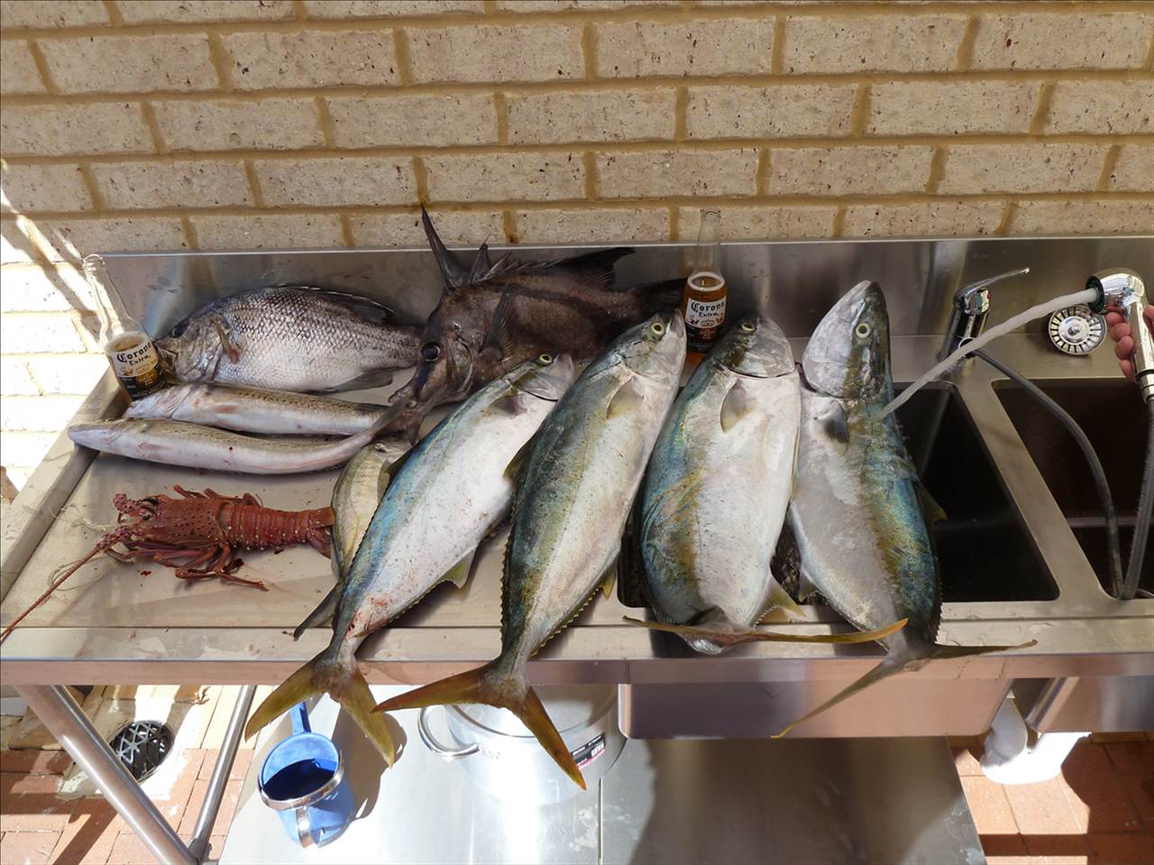 good day off mandurah