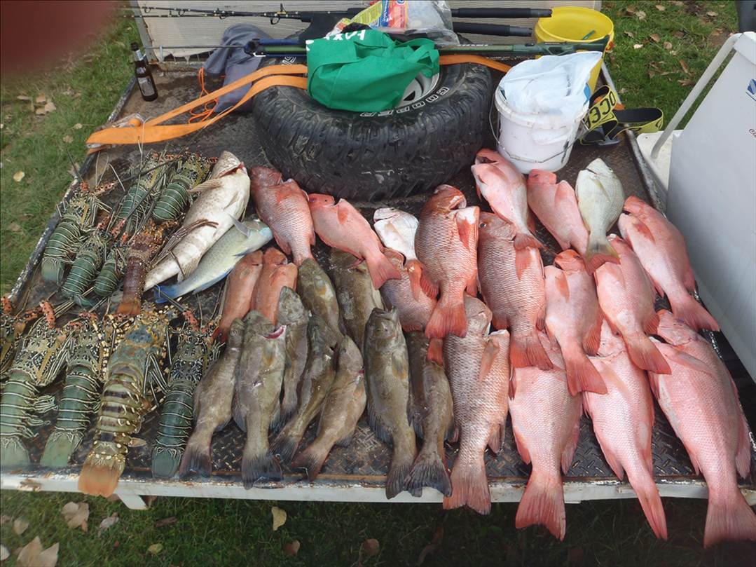 good day out