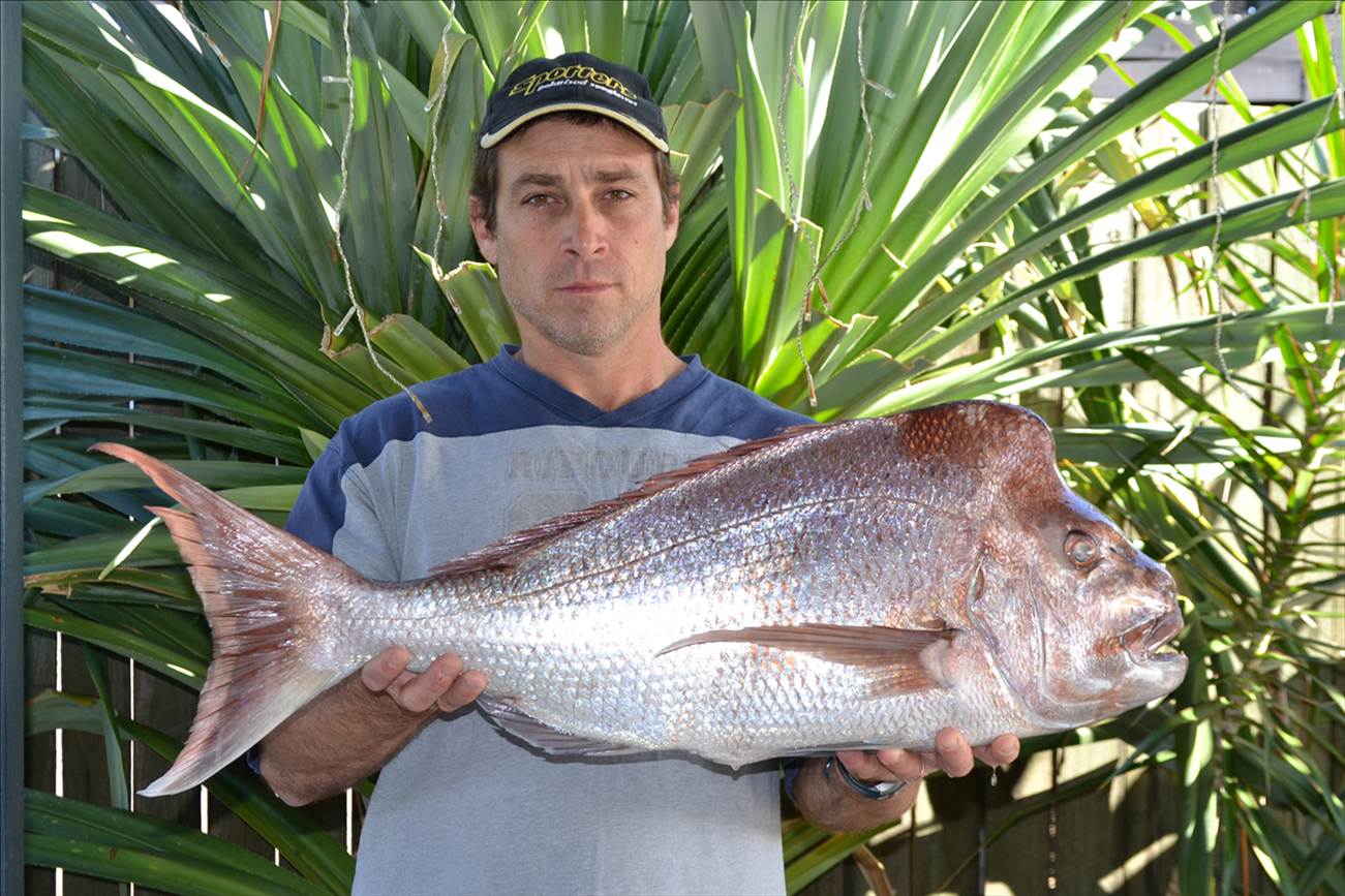 The Magnificent Moreton Bay