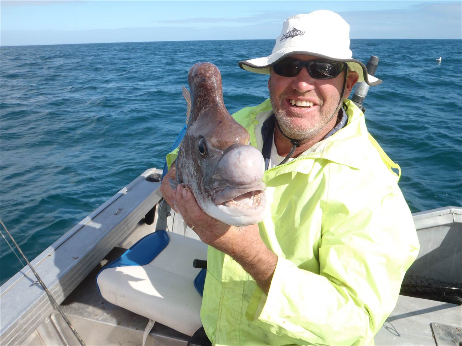 the ulgly snapper