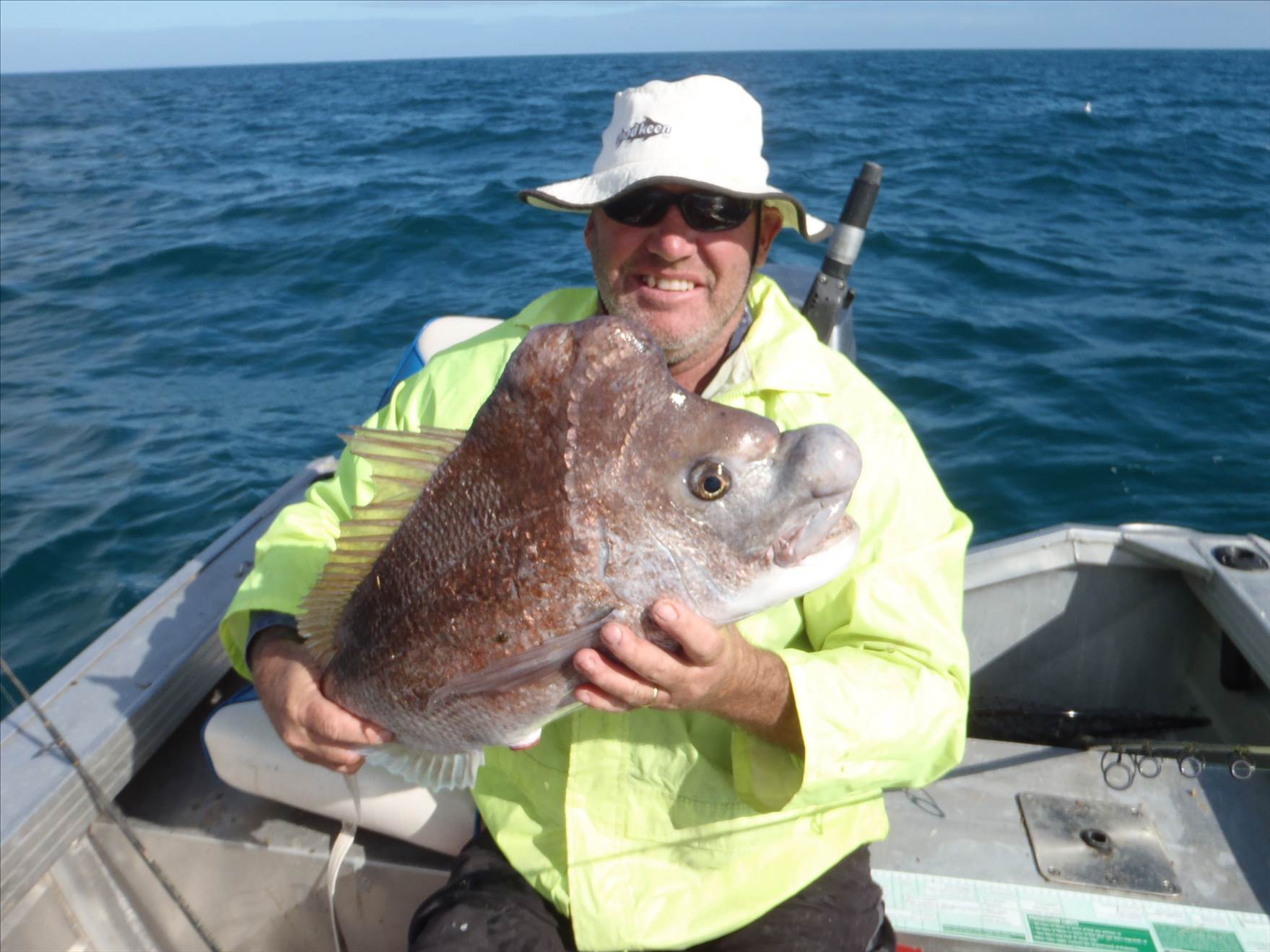 honky snapper