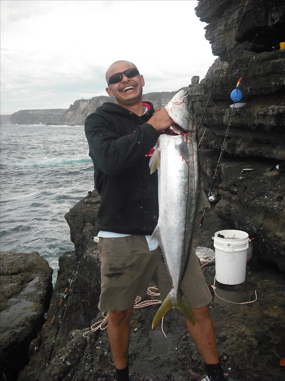 king fish