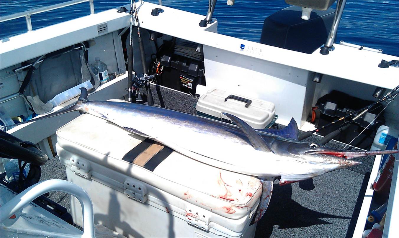 My First Marlin