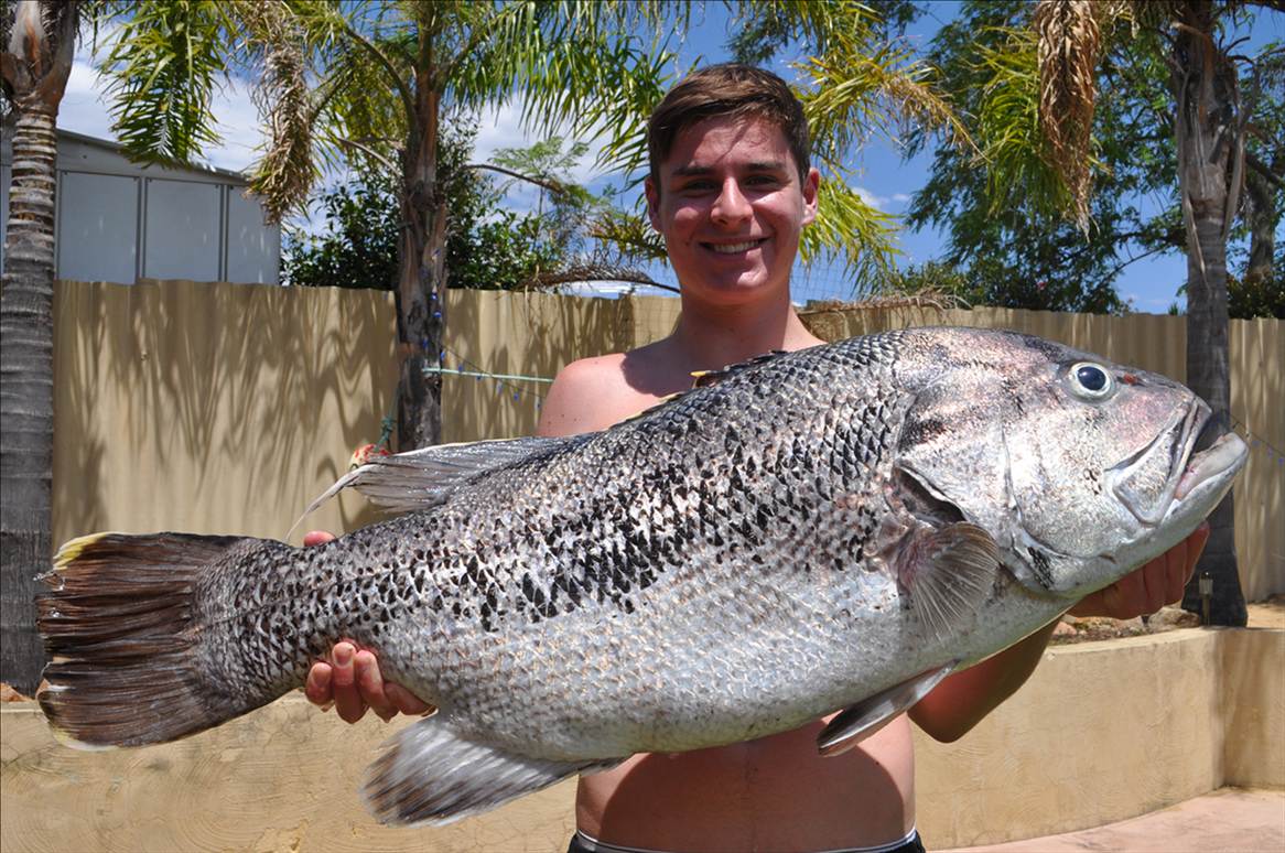 Jordy Reef