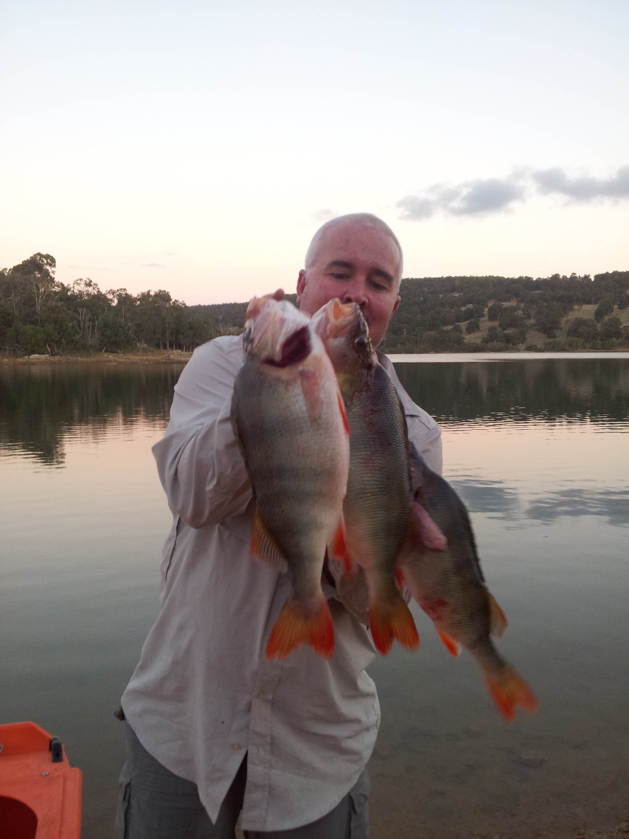 perch