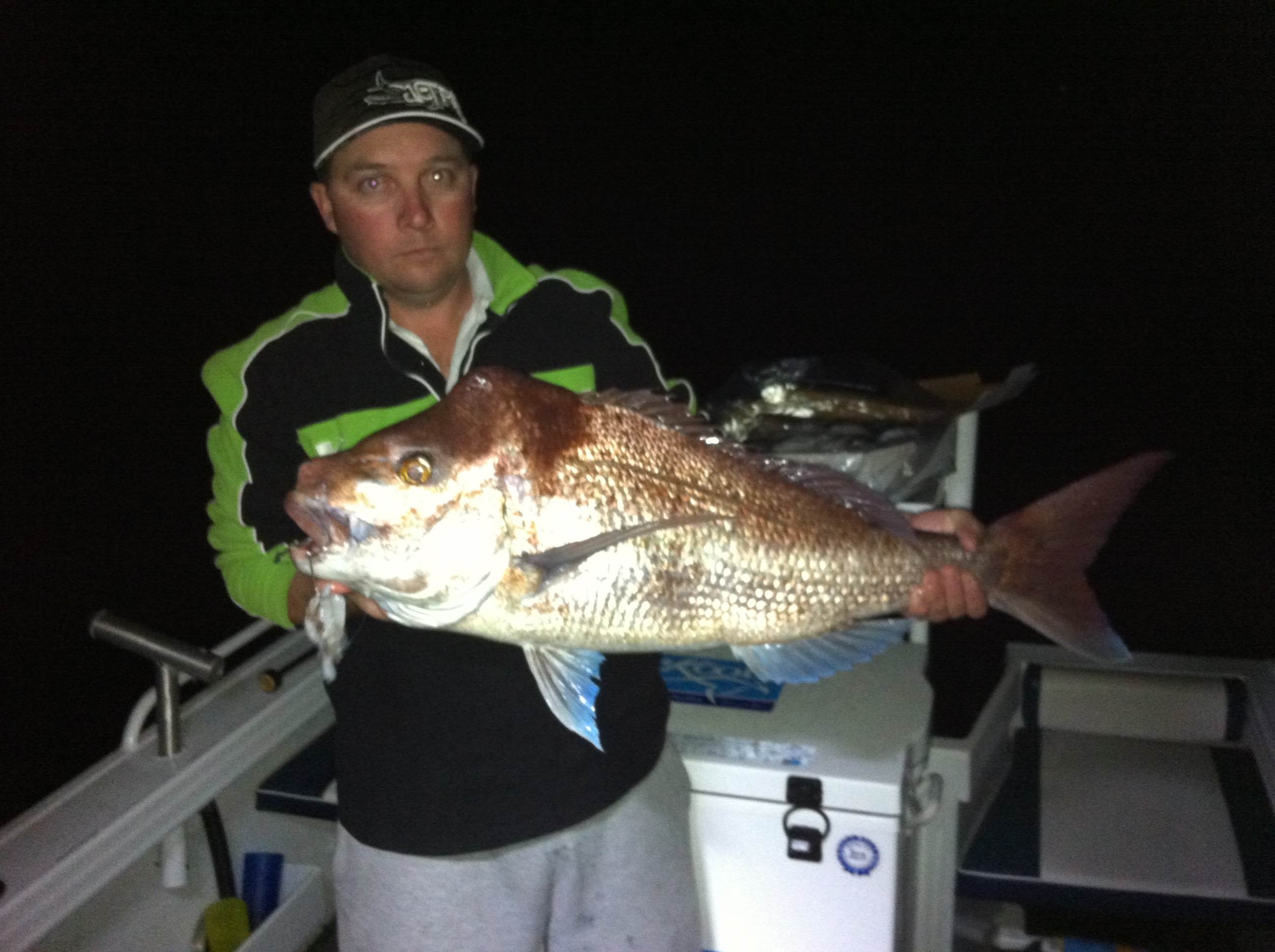 Snapper