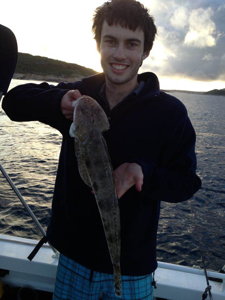 Flathead over the seaweed meadows